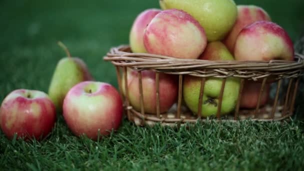 Яблоки и груши в корзине на траве
. - Кадры, видео