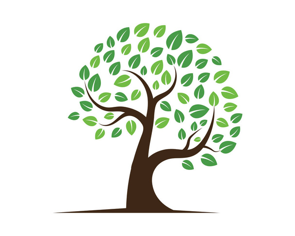 Logos of green Tree leaf ecology nature element vector - Vektor, obrázek
