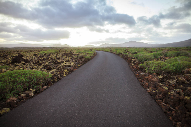 Empty road and unique Lanzarote landscape. Travel background - Foto, imagen