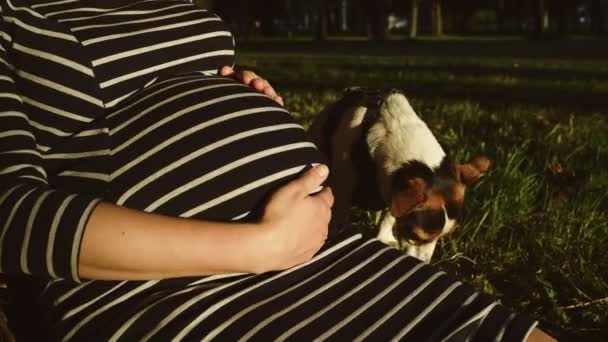 Těhotná žena v pruhované šaty - Záběry, video