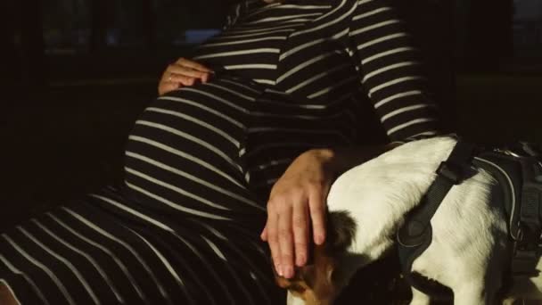 Schwangere im gestreiften Kleid - Filmmaterial, Video