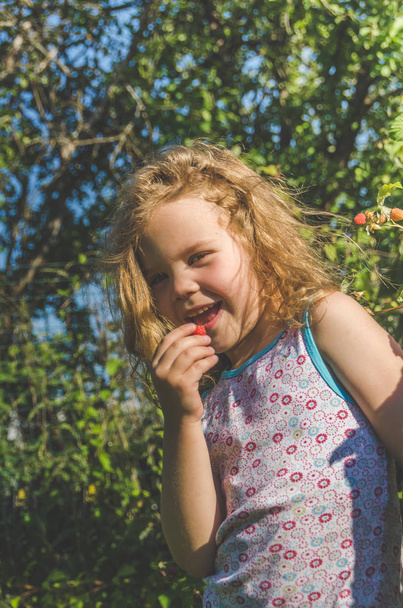 красива дівчина з довгим волоссям, дитина збирає в банці і їсть, ягідне малинове літо Сонячний день
 - Фото, зображення