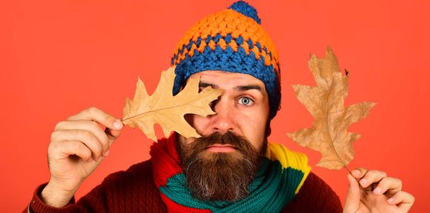 Guy with calm face wears warm hat on orange background - Photo, Image