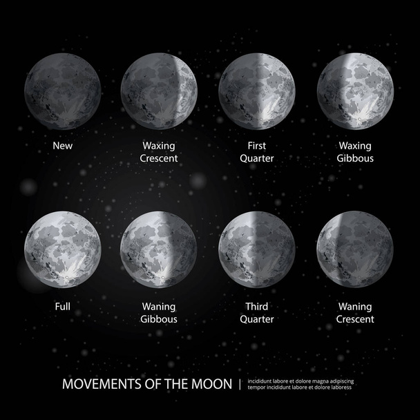 A Hold fázisok reális vektoros illusztráció mozgása - Vektor, kép