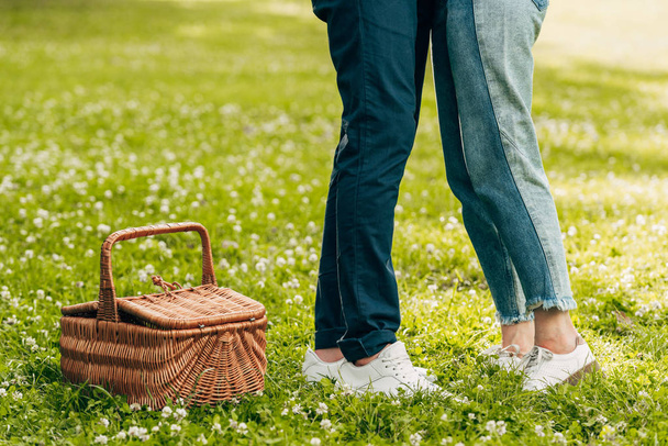 Junges Paar steht in der Nähe von Picknickkorb im Park - Foto, Bild