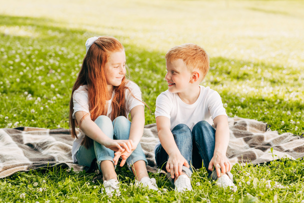 beau frère et soeur heureux se souriant tout en étant assis sur plaid au pique-nique dans le parc
 - Photo, image
