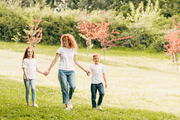 happy mother with two children holding hands and walking at park - Photo, image