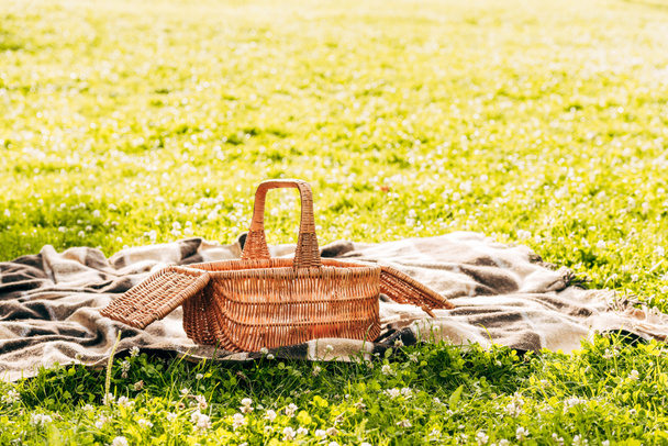 vista de primer plano de la cesta de picnic y cuadros en el césped verde en el parque
 - Foto, imagen