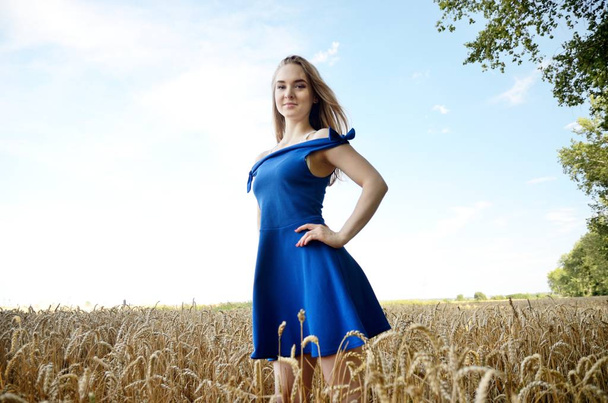 Jeune fille en robe bleue entourée de blé. Modèle féminin, séance de photos en plein air, terres agricoles en été
. - Photo, image