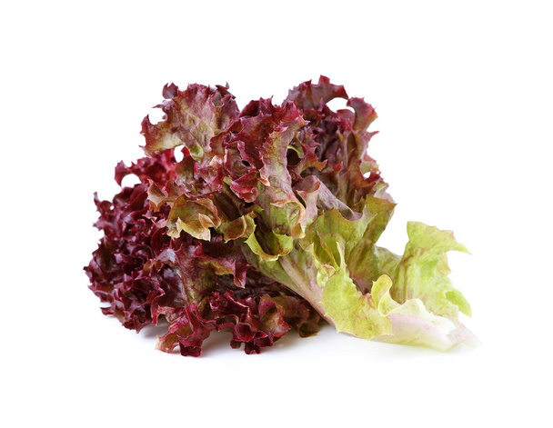 Свежий красный салат на белом фоне
 - Фото, изображение