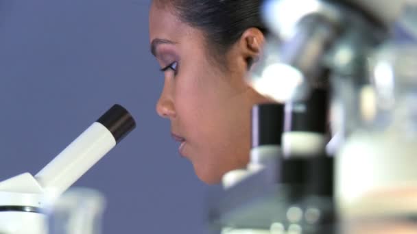 Professionnel médical travaillant en laboratoire avec microscope
 - Séquence, vidéo