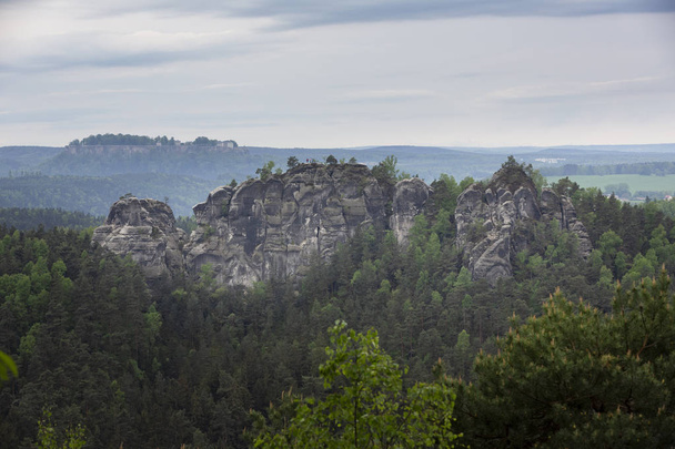 View to the Gamrig rock formation in the Saxon Switzerland area in Germany - Foto, Imagen