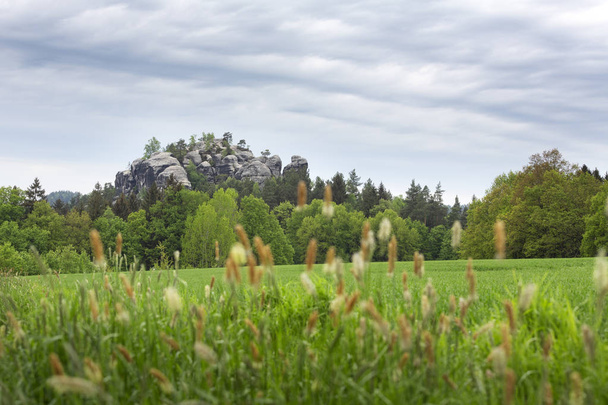 Vista de la formación de rocas Gamrig en el área de Suiza sajona en Alemania
 - Foto, imagen