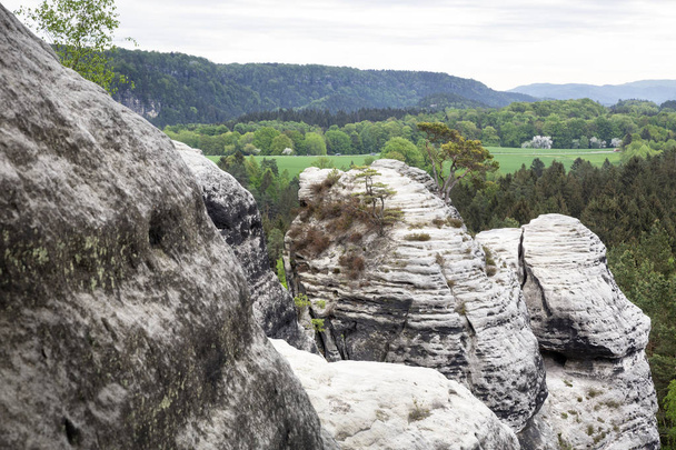 Vista desde la cima de la formación de rocas Gamrig en el área de Suiza sajona en Alemania
 - Foto, imagen