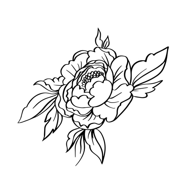Vector black white contour simple sketch of peony flower. - Wektor, obraz