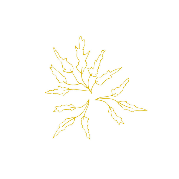 Vector hand drawn seaweed - Vector, Image