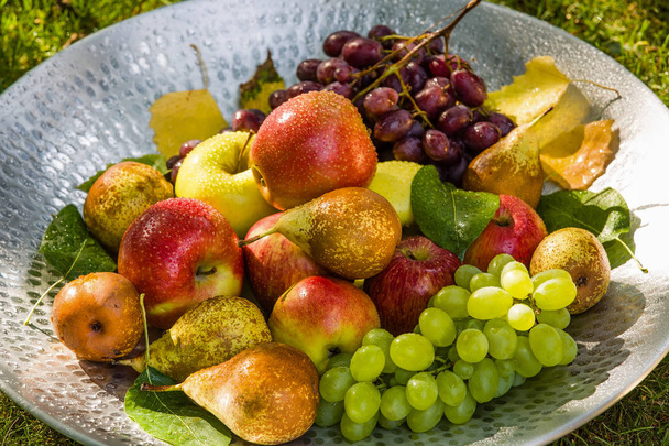 Obsternte am Ende des Sommers - Äpfel, Birnen und Trauben - Foto, Bild