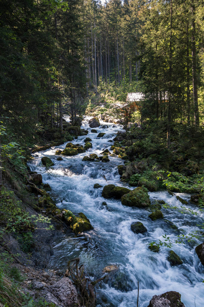Flowing Stream in southern Germany - 写真・画像