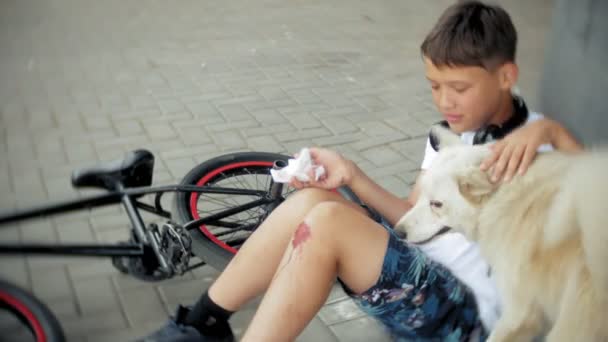 Το αγόρι κάθεται στο πάρκο μετά από πτώση ενός ποδηλάτου, ηρεμεί τον πόνο στο γόνατό του, αντιπροσωπεύει μια επικίνδυνη ποδήλατο κοντά στο σκύλο του - Πλάνα, βίντεο