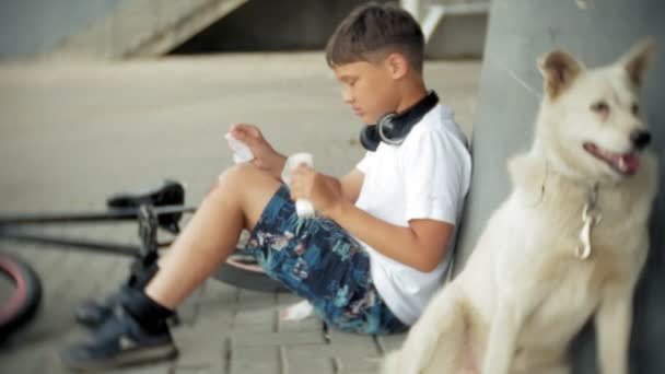 der Junge sitzt nach einem Sturz vom Fahrrad im Park, beruhigt die Schmerzen im Knie, stellt ein gefährliches Fahrrad dar, das in der Nähe seines Hundes fährt - Filmmaterial, Video