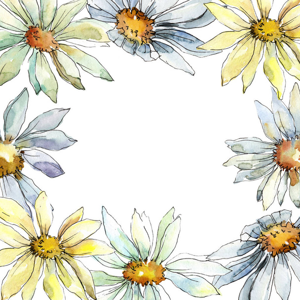 White daisy flower. Floral botanical flower. Frame border ornament square. Aquarelle wildflower for background, texture, wrapper pattern, frame or border. - Photo, Image