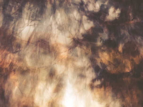 Spring blurred tree. Abstract motion blur effect - Fotoğraf, Görsel