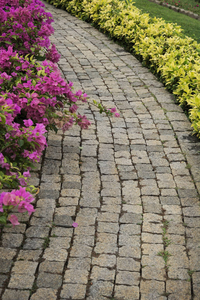 Path in park is paved with stone, it is laid through a flower garden - Fotoğraf, Görsel