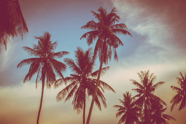 Beautiful outdoor view with tropical nature and silhouette coconut palm tree on the sky at sunset time - Vintage Filter - Photo, Image