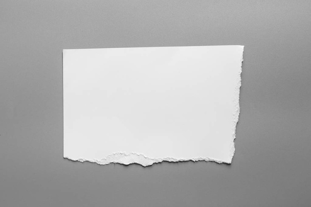 Bílý roztrhaný papír na šedém pozadí. trhlina sběrného papíru - Fotografie, Obrázek