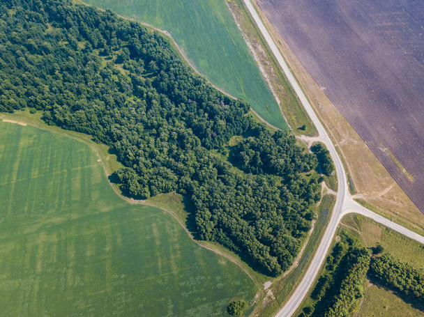 Helikopter drone schoot. Luchtfoto's van groene bos met road, groen gras. - Foto, afbeelding