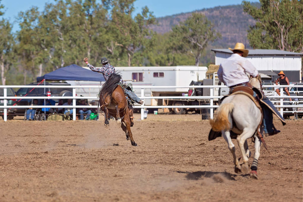 Ковбой, скачущий на лошадях на родео в Австралии
 - Фото, изображение