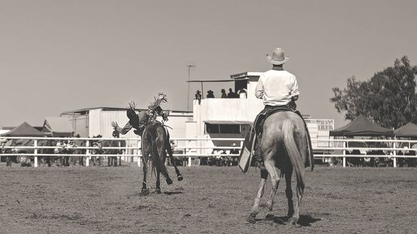 Cowboy montando um cavalo de bronze bucking em uma competição de rodeio na Austrália
 - Foto, Imagem