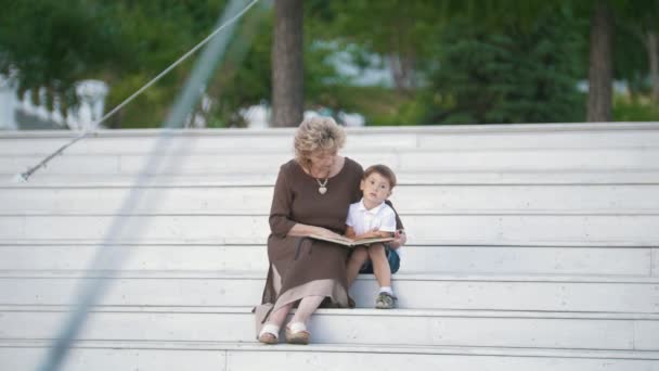 Oma liest ihrem Enkel im Park ein Buch, sonniger Tag - Filmmaterial, Video