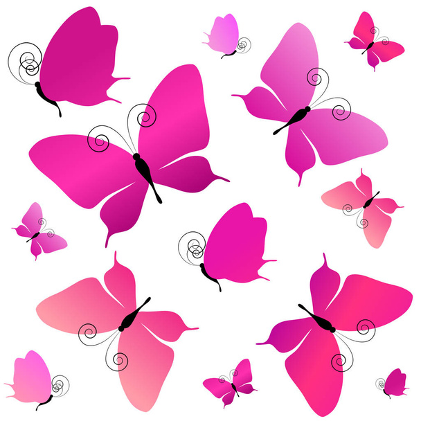 beautiful pink butterflies, isolated  on a white - Foto, Imagem