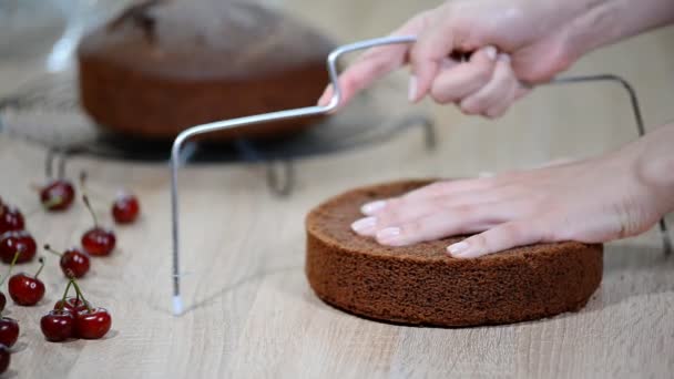 "Cutting Cake on Layers". Как сделать выбор
. - Кадры, видео
