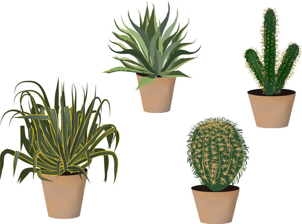 raccolta di cactus verde isolato su sfondo bianco
 - Vettoriali, immagini
