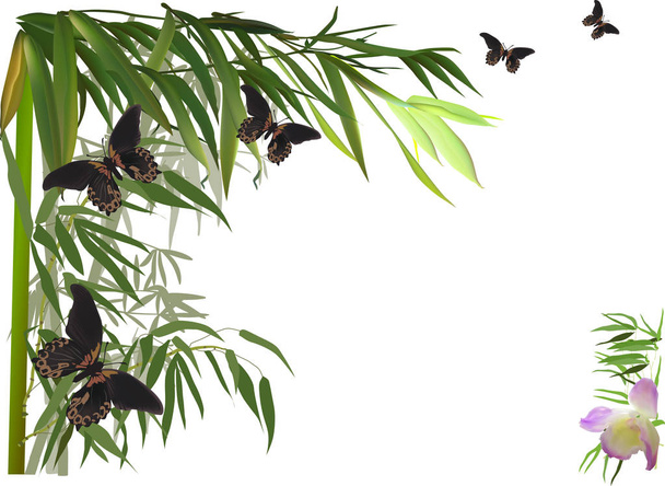 ilustracja z rogu bambus zielony i brązowy motyle - Wektor, obraz