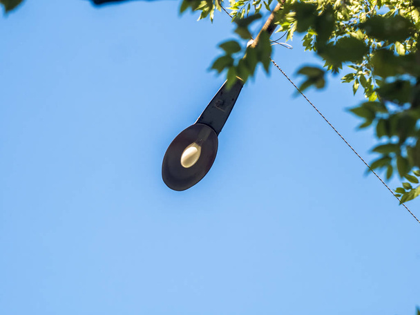 single street light against the sky during daylight - Photo, Image