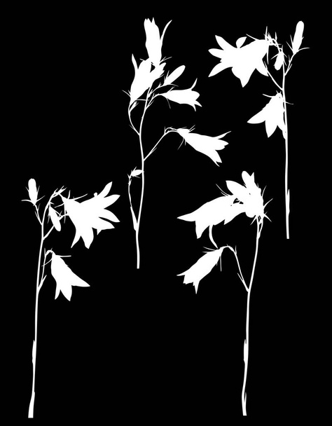 Abbildung mit weißen Glockenblumen isoliert auf schwarzem Hintergrund - Vektor, Bild