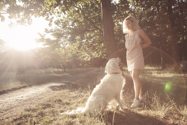 少女が公園で純血種自家製犬を訓練します。. - 写真・画像