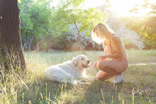 A girl with a golden retriever walks in the park. The dog is tired and lies resting under a tree. - Фото, зображення