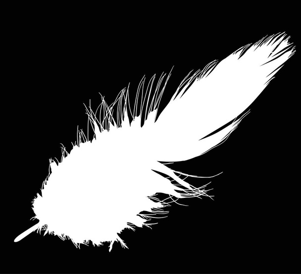illustration avec une seule plume blanche sur fond noir - Vecteur, image