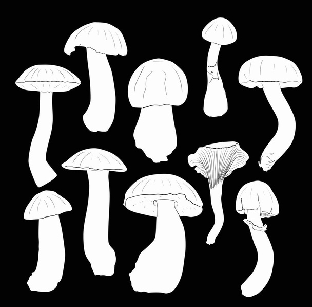 ілюстрація з грибковими силуетами ізольовані на чорному фоні
 - Вектор, зображення