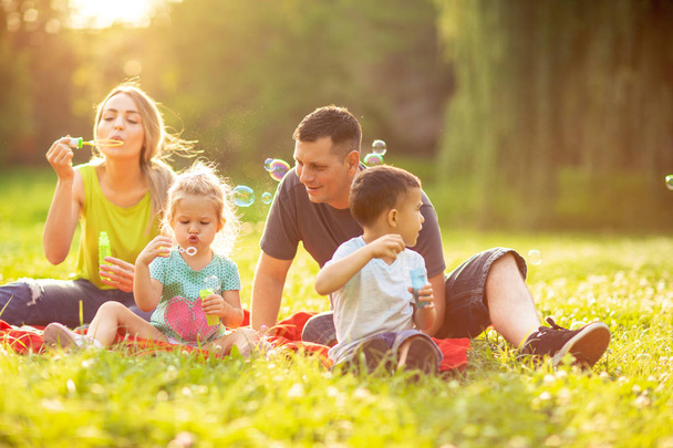 Счастливая семья в парке вместе в солнечный день милые дети пускают мыльные пузыри на открытом воздухе
 - Фото, изображение