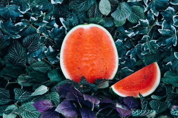 Fresh ripe striped sliced watermelon on tropical background. - Фото, зображення