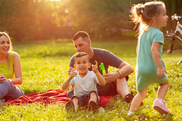 perheaika - Onnellinen nuori perhe puistossa yhdessä aurinkoisena päivänä
 - Valokuva, kuva