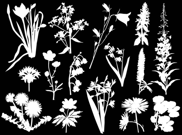 illustratie met wilde bloemen silhouetten geïsoleerd op zwarte achtergrond - Vector, afbeelding