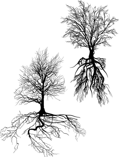 ilustração com silhuetas de árvores isoladas sobre fundo branco
 - Vetor, Imagem