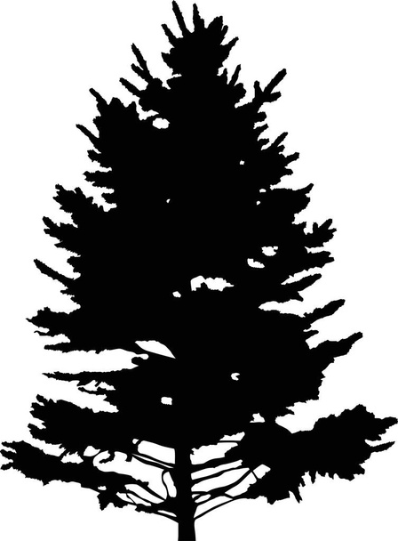 illustration with fir tree silhouette isolated on white background - Vector, Image