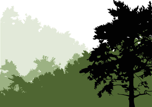illusztráció zöld erdő elszigetelt fehér háttér - Vektor, kép